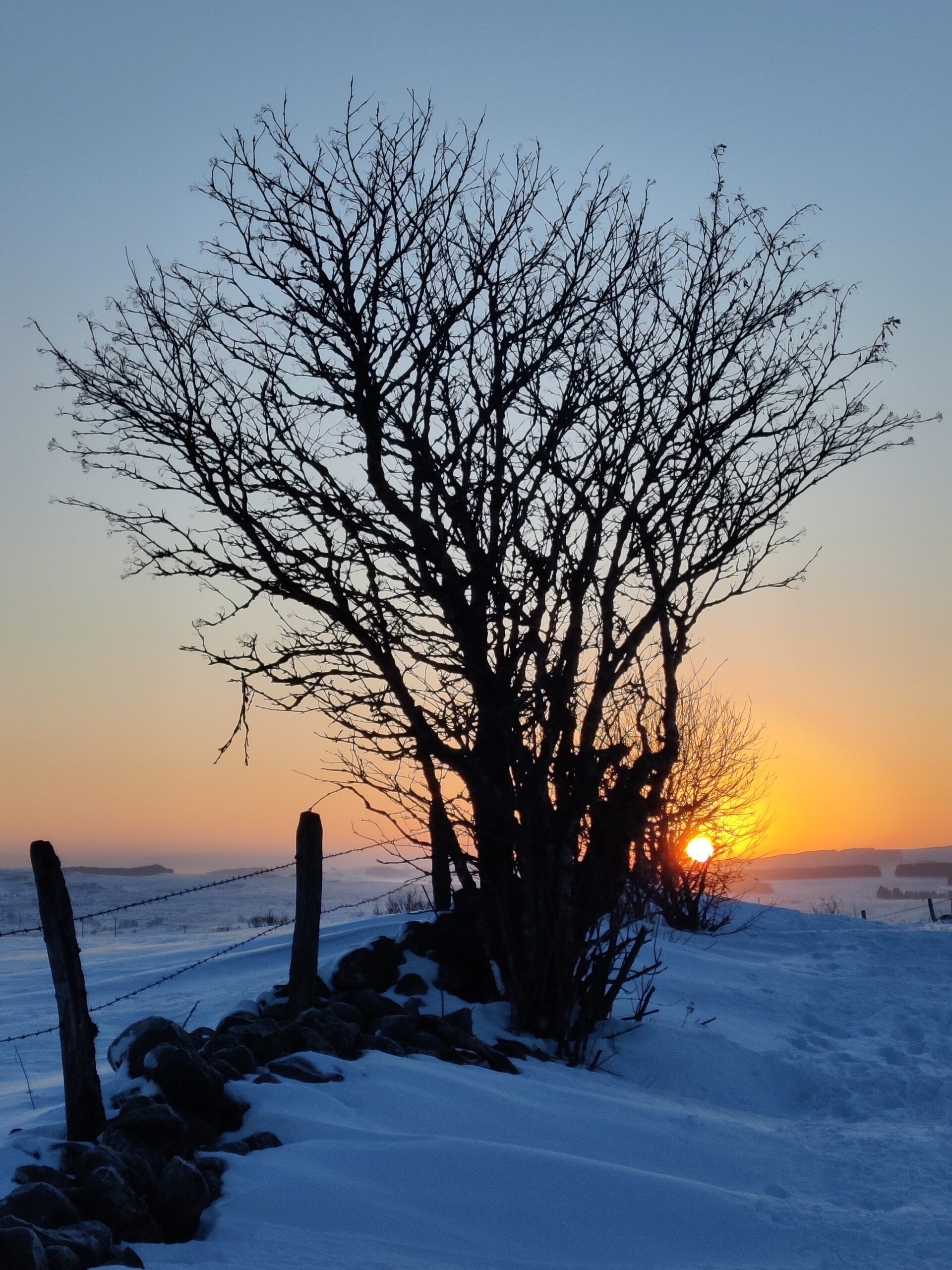 2023 - Traversée de l'AUBRAC-3 2023 - Traversée de l'AUBRAC-3